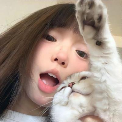 克罗克特先生